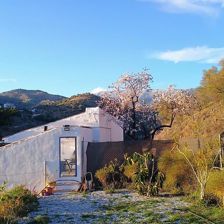Finca El Almendro Árchez Extérieur photo